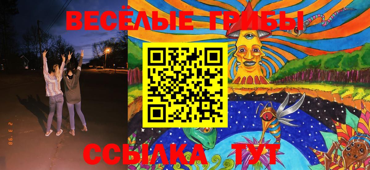 Чайковский  Галлюциногенные грибы Cubensis  Вход с VPN 